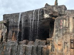 -海南热带野生动植物园