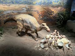 -自贡恐龙博物馆