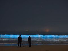 -西涌国际滨海旅游区