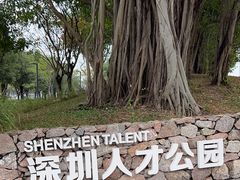 -深圳人才公园