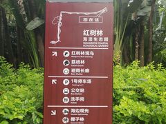 -福田红树林生态公园