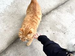 -终南山南五台景区