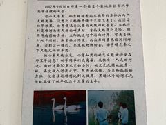 -盐城丹顶鹤湿地生态旅游区