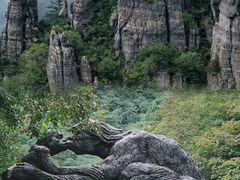 -神农架景区