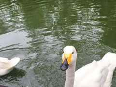 -海南热带野生动植物园