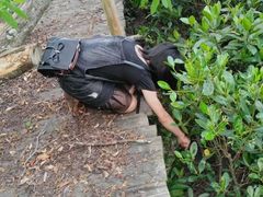 -东寨港红树林旅游区