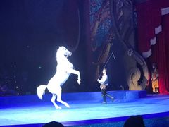 -珠海横琴长隆《卡卡虎奇遇记》