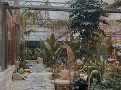 -桉树林A coffee 森林餐厅(三圣乡店)