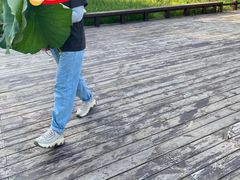 -北京市海淀区翠微小学