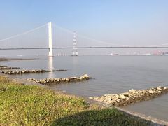 -海鸥岛