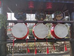 -合肥滨湖国家森林公园