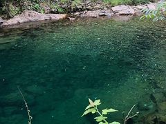 -藏龙百瀑风景区