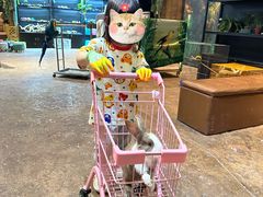 -杭州开元森泊度假乐园