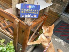 -黎阳老街