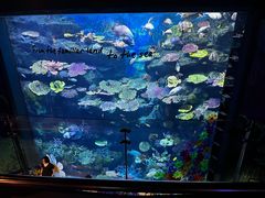 -暹罗海洋世界