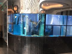 -王家渡火锅店(棕榈泉店)