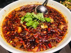 -望乡楼上海菜(日月光店)