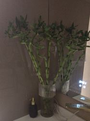 -Hi Beauty Skin 科技美肤中心