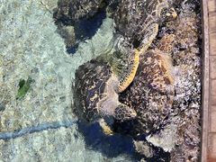 -福州罗源湾海洋世界旅游区