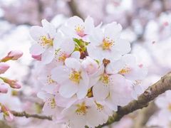 -黔灵山公园