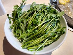 潮汕西洋菜-汕头八合里海记牛肉店(清河店)