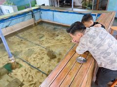 -小象钓虾·营地烧烤(洛溪店)