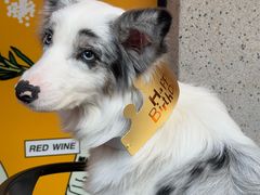 -Money Shops(愚园路店)