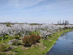 -上海海湾国家森林公园
