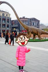 -恐龙探索乐园(磁器口店)