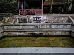 -虎跑公园