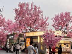 -首开·龙湖成都西宸天街