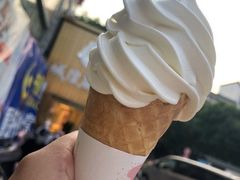 -蜜雪冰城(武进区吾悦店)