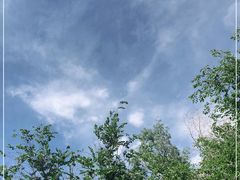 -特丰抓饭(莱茵庄园店)