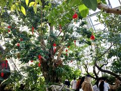 -上海植物园-4号门售票处