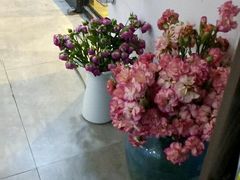 -严国平动物医院(德政总院)