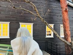 -三鹰之森吉卜力美术馆