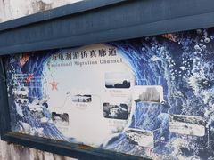 -广东惠东海龟国家级自然保护区