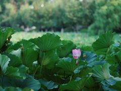 -云龙湖旅游景区