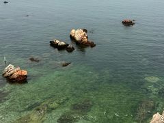 -养马岛旅游度假区