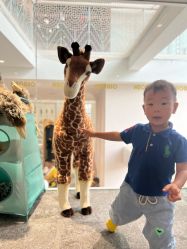 -奈尔宝·儿童乐园·亲子餐厅(华采天地店)