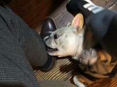 -老味道(田子坊店)