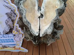 -蓝湾碧波·老字号·疍家非遗海上餐厅