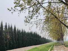 -汉长安城未央宫国家考古遗址公园