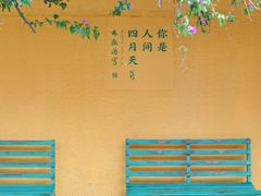 -翠湖公园