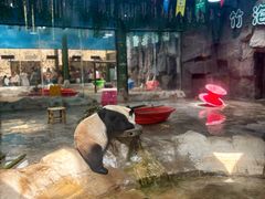 -栾川竹海野生动物园