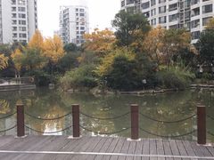 -新湖明珠城