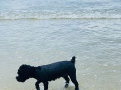 -有间冰室(侨港风情街店)