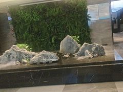 -三谷里·生态水疗空间(五一店)