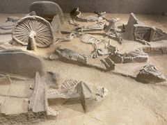 -洛阳周王城天子驾六博物馆