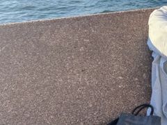 -悉尼歌剧院